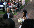 Wedding Highlight